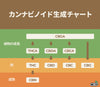 カンナビノイドとは？- CBD、CBG、CBN、CBC